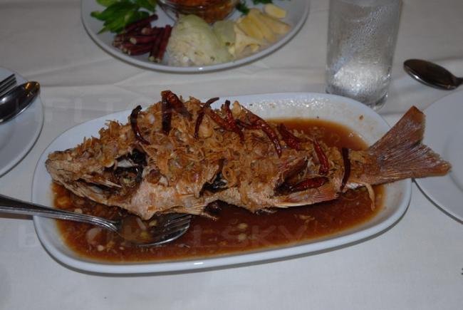 DSC_0077_resize.JPG